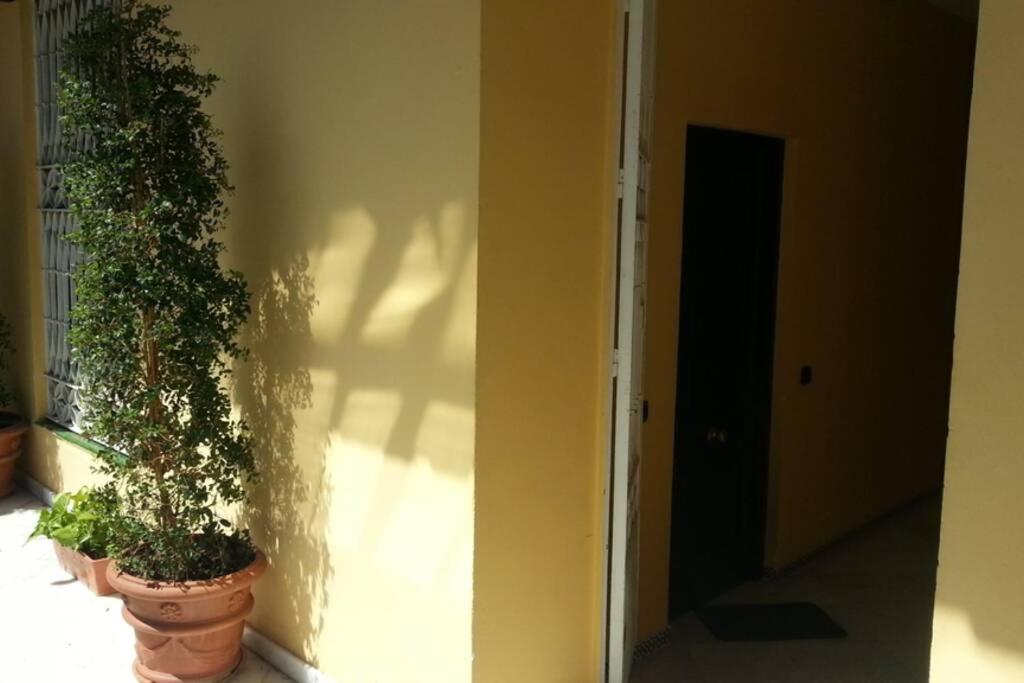 Apartamento Tranquilo Y Con Encanto En Palacio Sevillano, Junto Catedral A Acond Y Wifi Eksteriør bilde